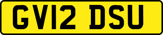 GV12DSU