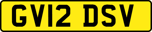 GV12DSV