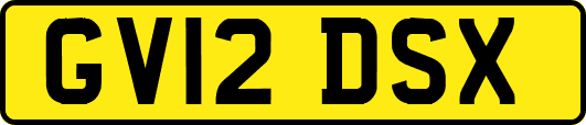 GV12DSX