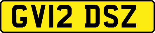 GV12DSZ