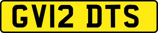 GV12DTS