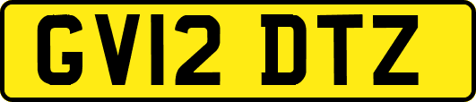 GV12DTZ