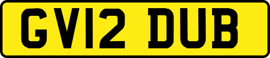 GV12DUB