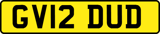 GV12DUD