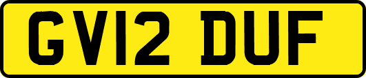 GV12DUF