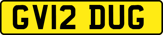 GV12DUG