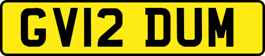 GV12DUM