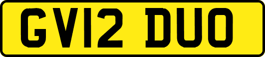 GV12DUO