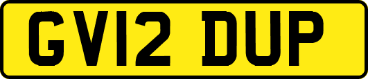 GV12DUP
