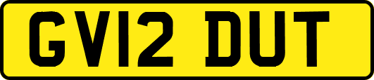 GV12DUT