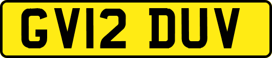 GV12DUV