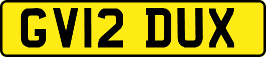 GV12DUX