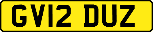 GV12DUZ