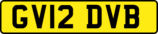 GV12DVB