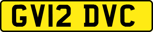 GV12DVC