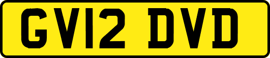 GV12DVD