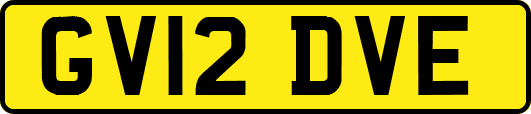GV12DVE
