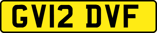 GV12DVF