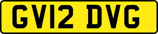 GV12DVG