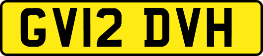 GV12DVH