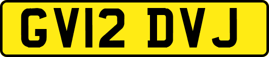 GV12DVJ