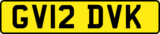 GV12DVK