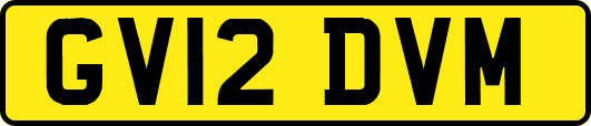 GV12DVM