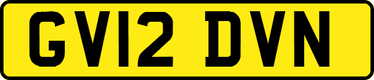 GV12DVN