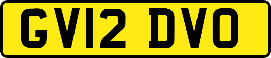 GV12DVO