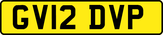 GV12DVP