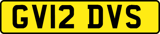 GV12DVS
