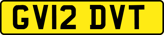 GV12DVT