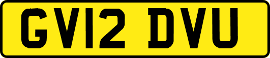 GV12DVU