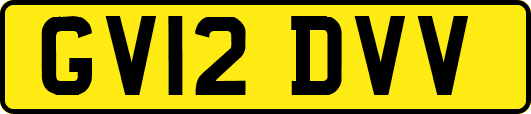 GV12DVV