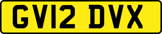 GV12DVX