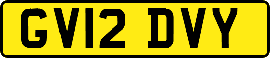 GV12DVY