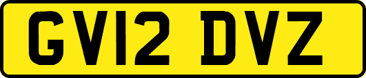 GV12DVZ