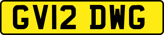 GV12DWG