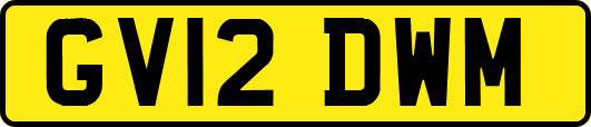 GV12DWM