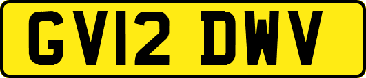GV12DWV
