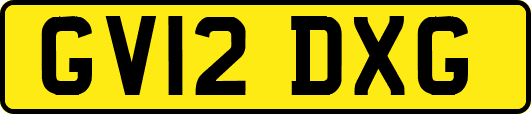 GV12DXG