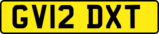 GV12DXT