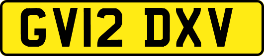 GV12DXV