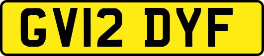GV12DYF