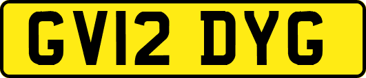 GV12DYG