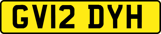 GV12DYH