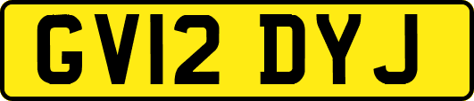 GV12DYJ