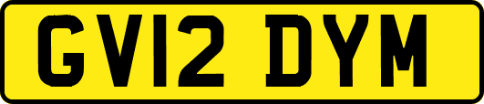 GV12DYM