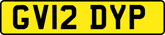 GV12DYP