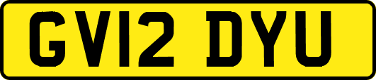 GV12DYU